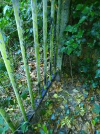 exterior_east_railings3.jpg