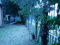 exterior_north_side_fencing.jpg