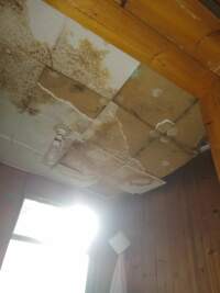 interior_female_wc2.jpg