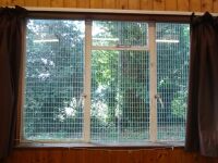 interior_northeast_window.jpg